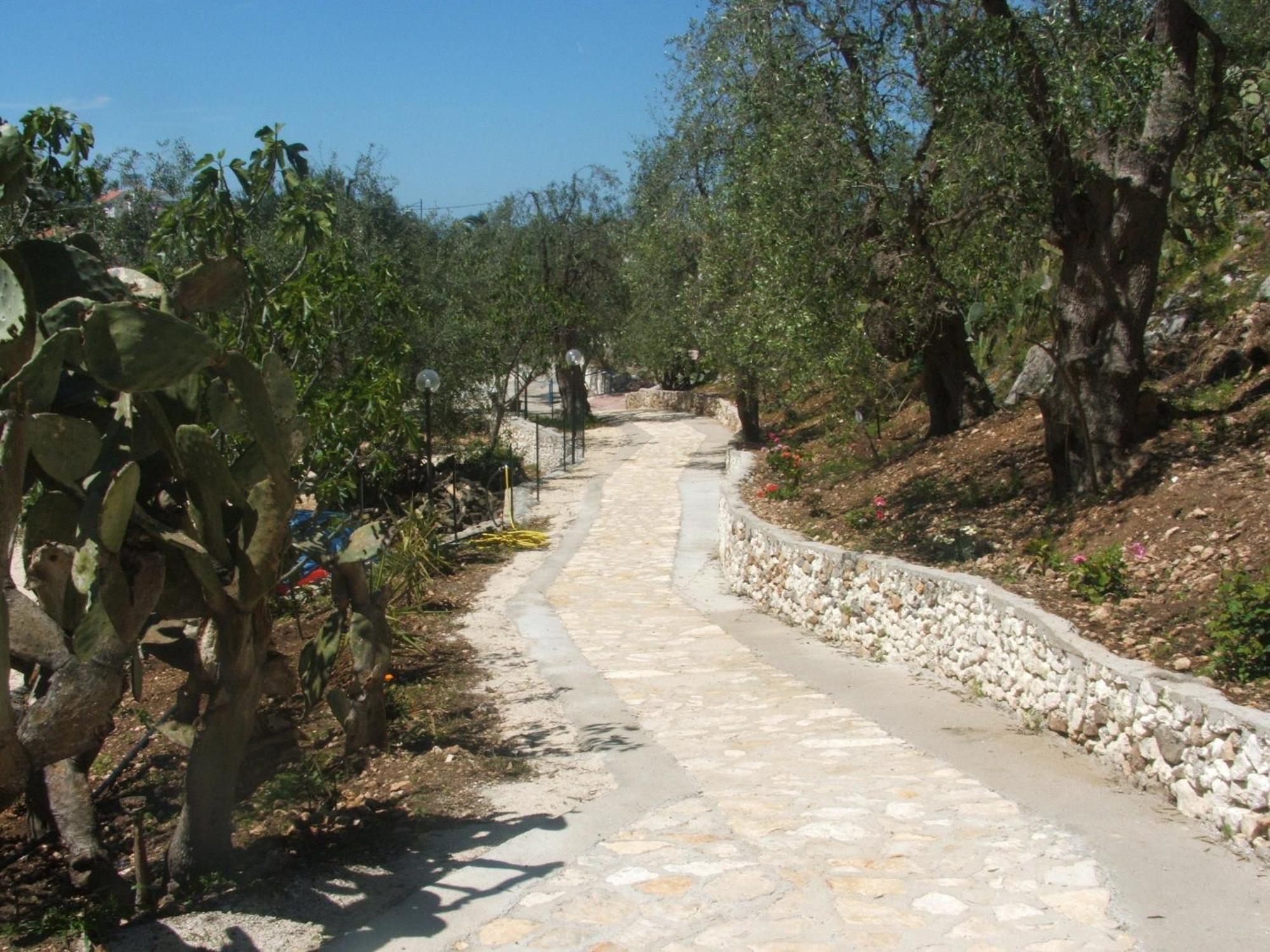 Hotel Piccolo Paradiso Peschici Εξωτερικό φωτογραφία